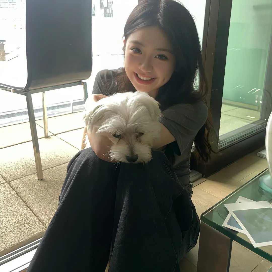辣个艾莉丝